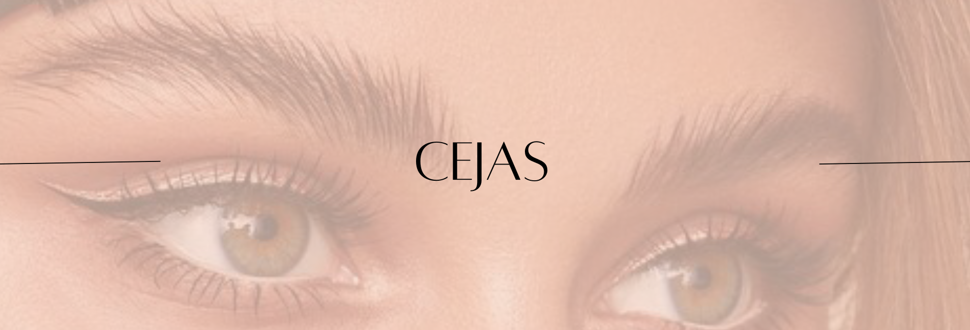 BANNER CEJAS